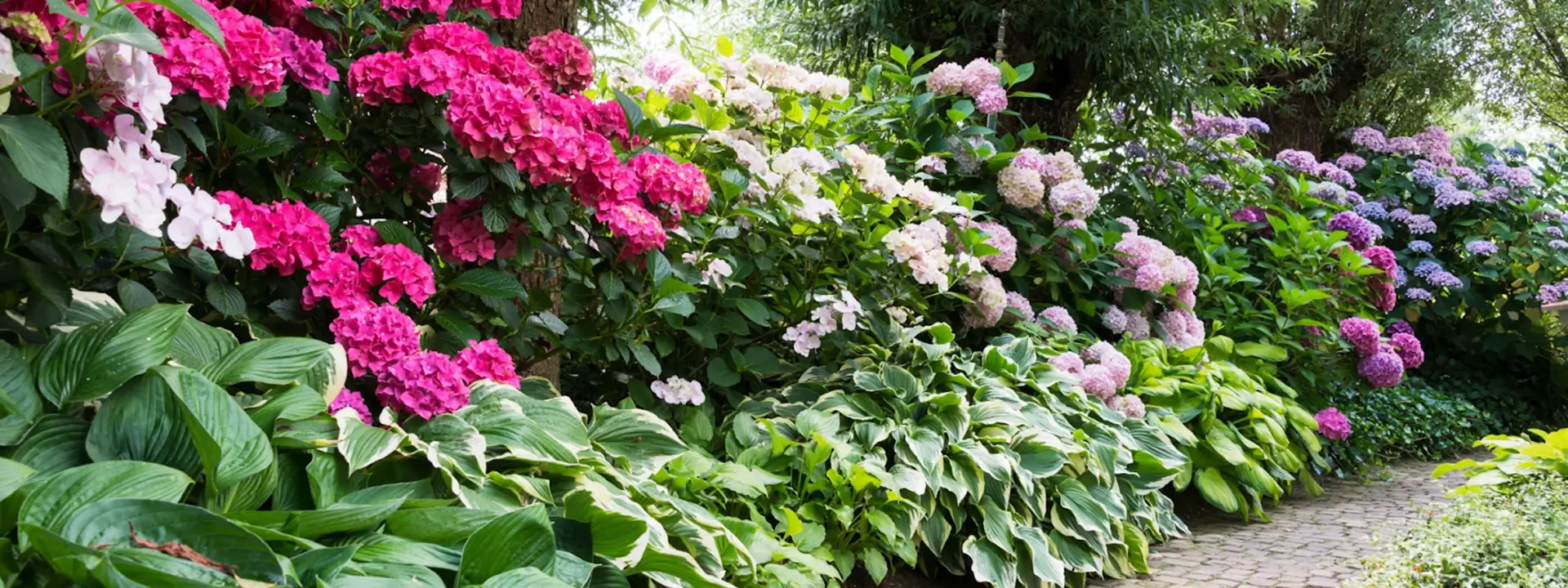 Inject colour into your garden with careful planting